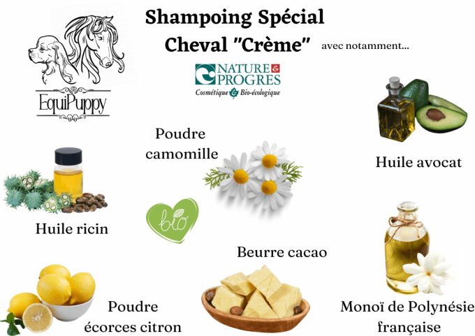 Shampoing spécial cheval crème-palomino
